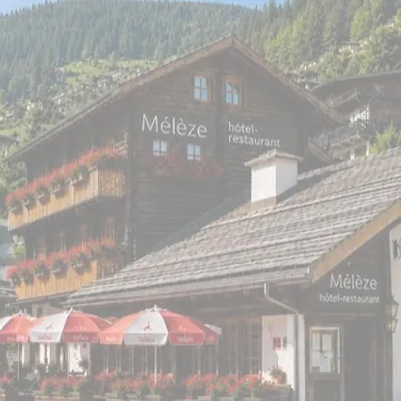 Hotel Hôtel-restaurant Mélèze 3*